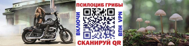 Купить  Белая Холуница  Галлюциногенные грибы Magic Shrooms 
